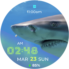 FREE App Shark Fin - watch face