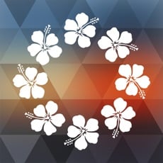 FREE App Big Island Offline Guide