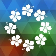 FREE App Kauai Offline Island Guide