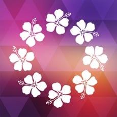 FREE App Maui Offline Island Guide