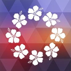 FREE App Oahu Offline Island Guide