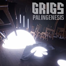 FREE App PALINGENESIS