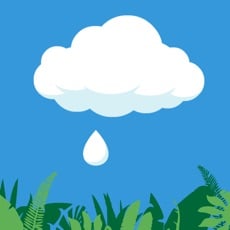 FREE App Rain Drop Catcher