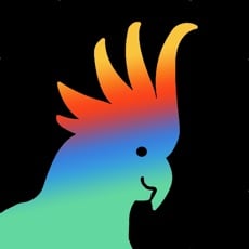 FREE App Rasa Music Visualizer