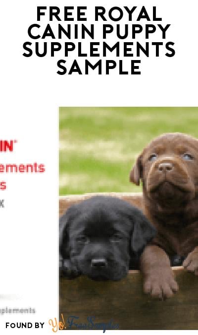 FREE Royal Canin Puppy Supplements for Brand Ambassadors (Must Apply)