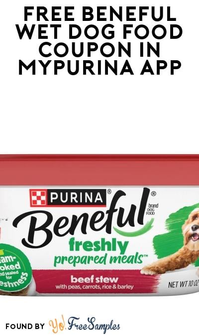 FREE Beneful Wet Dog Food Coupon In MyPurina App
