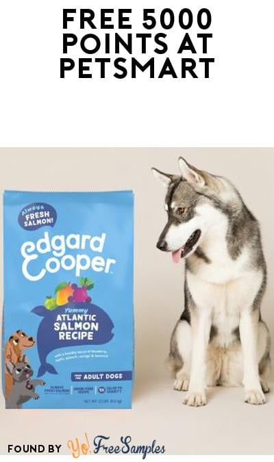 DEAL ALERT: Earn 5000 Points at PetSmart When Buying Dog Food