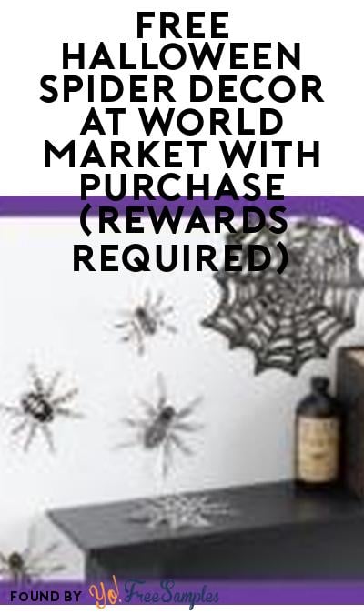 FREE Halloween Spider Decor At World Market With Purchase (Rewards Required)