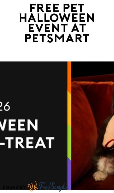 FREE Pet Halloween Treats At Petsmart October 26th (Treats Rewards Required)