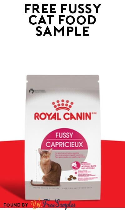 FREE Fussy Cat Food for Pet Owners (Must Apply)