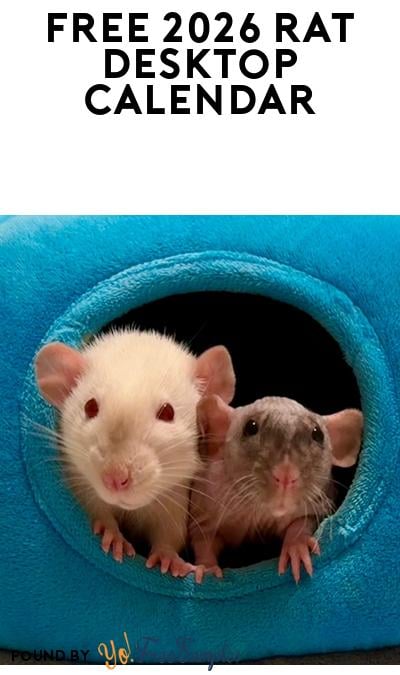FREE 2026 Rat Genome Database Calendar