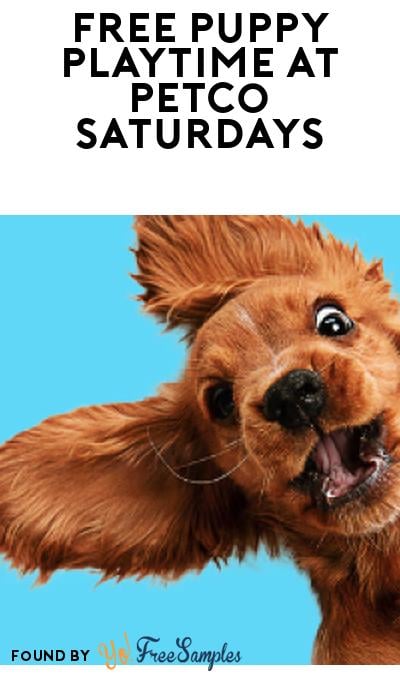 FREE Puppy Socialization Sessions at Petco Every Saturday