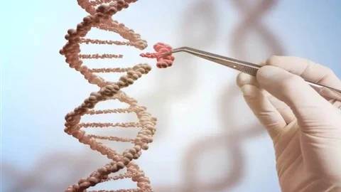 FREE Course at Udemy: Genetic Engineering and Its Applications