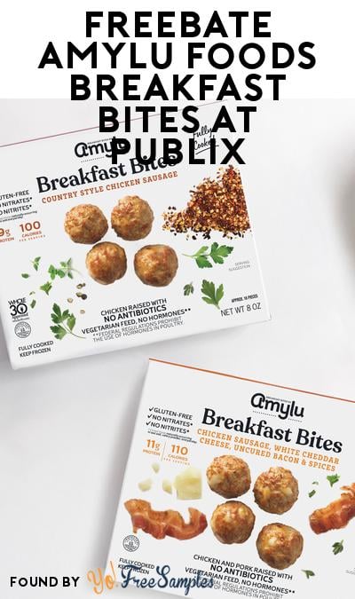 FREEBATE Amylu Foods Breakfast Bites at Publix (WeStock Rebate Required)