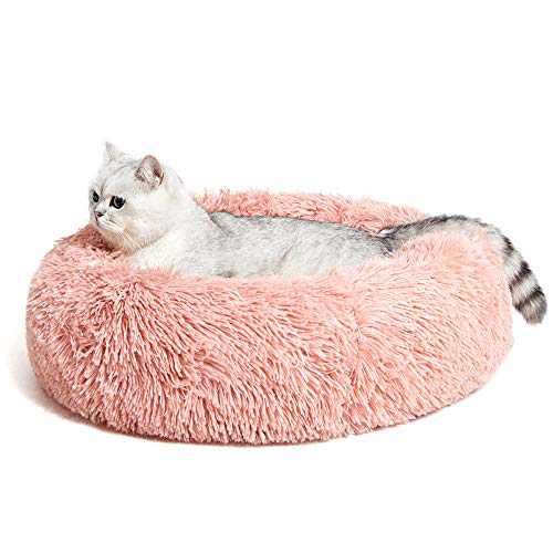 Promo Code For ANWA Cat Bed for Indoor Cats, Self Warming Cat Bed